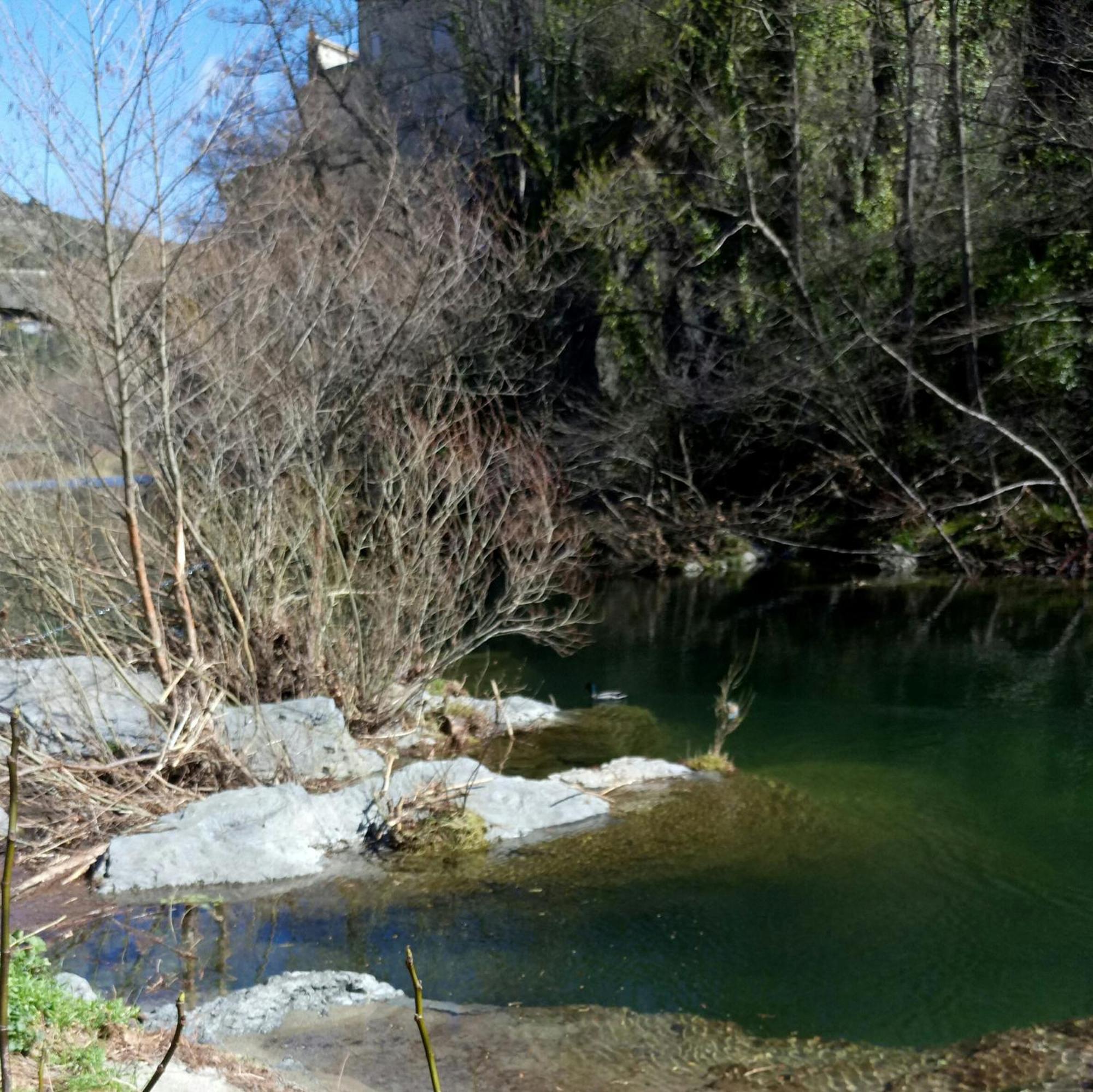 Le Moulin Aux Chandelles 2, Vacances & W-E, Vues Riviere, Montagne & Ville, Tout Confort Deconnecte, Eclairage Bougies, Connexions A 200M Au Centre Le Vigan Gite Les Amoureux De L'Arre, Randonnee Chemin De Saint-Guilhem-Le-Desert, Lire Profil Avant R Экстерьер фото