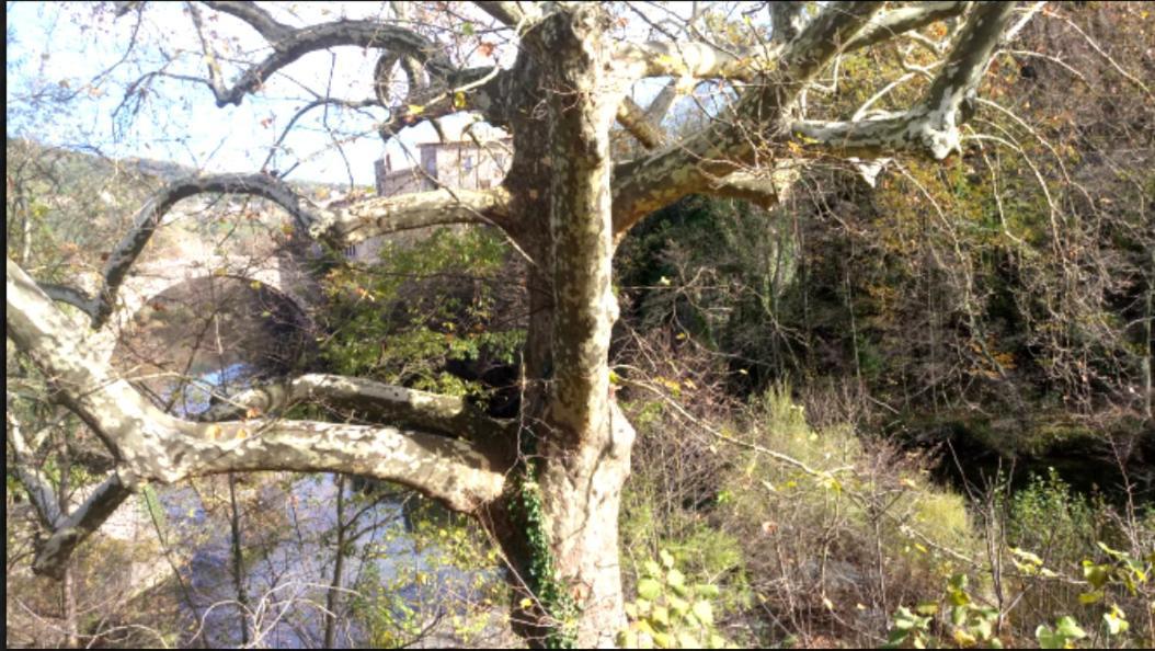 Le Moulin Aux Chandelles 2, Vacances & W-E, Vues Riviere, Montagne & Ville, Tout Confort Deconnecte, Eclairage Bougies, Connexions A 200M Au Centre Le Vigan Gite Les Amoureux De L'Arre, Randonnee Chemin De Saint-Guilhem-Le-Desert, Lire Profil Avant R Экстерьер фото