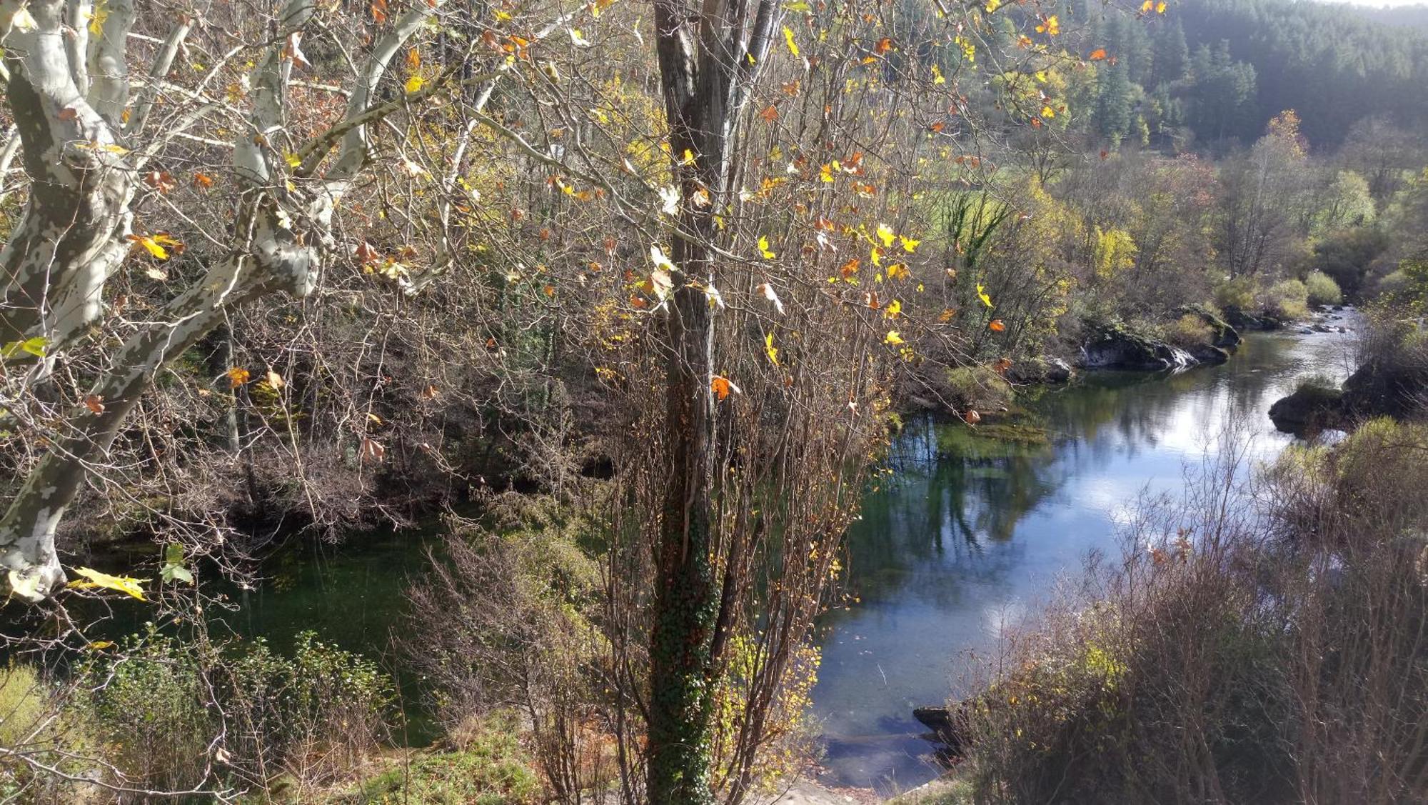 Le Moulin Aux Chandelles 2, Vacances & W-E, Vues Riviere, Montagne & Ville, Tout Confort Deconnecte, Eclairage Bougies, Connexions A 200M Au Centre Le Vigan Gite Les Amoureux De L'Arre, Randonnee Chemin De Saint-Guilhem-Le-Desert, Lire Profil Avant R Экстерьер фото